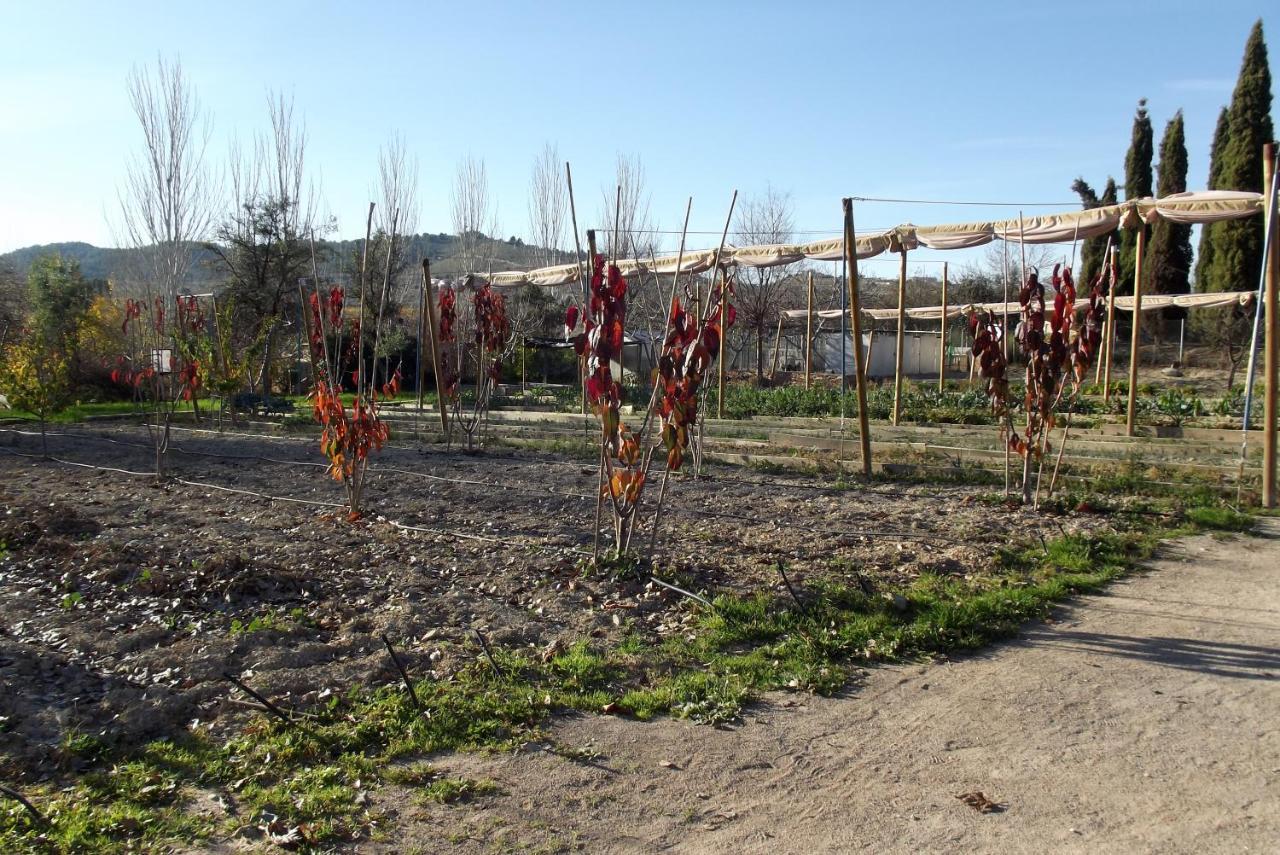 Centro De Agroecologia Y Medio Ambiente De Murcia Bullas Exterior photo